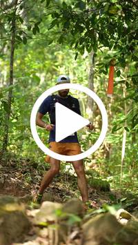 BIB:  <button type="button" onclick="openModal(27631108)" class="btn btn-primary btn-sm float-right" data-toggle="modal" data-target=".modal-high-quality">
                <i class="fa fa-download"></i> Download
                </button>